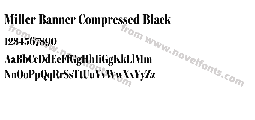 Miller Banner Compressed BlackPreview