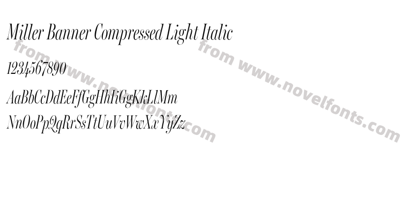 Miller Banner Compressed Light ItalicPreview
