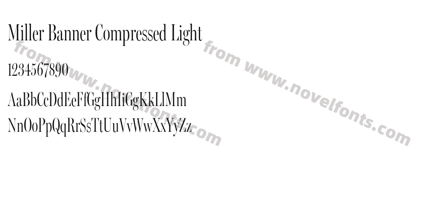 Miller Banner Compressed LightPreview
