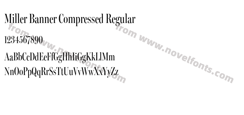 Miller Banner Compressed RegularPreview