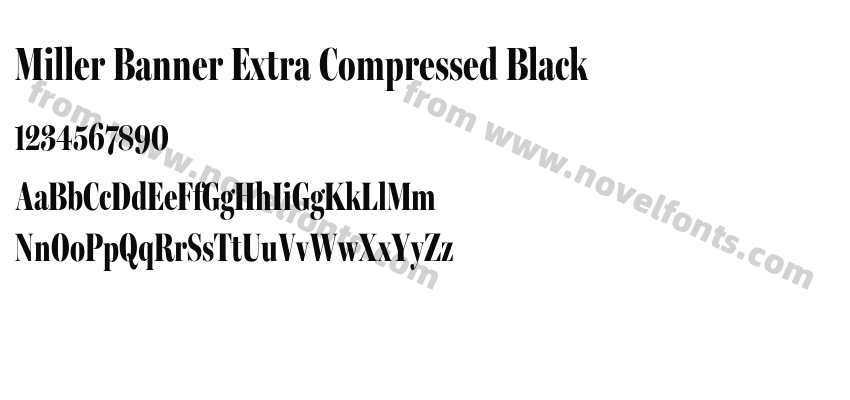 Miller Banner Extra Compressed BlackPreview