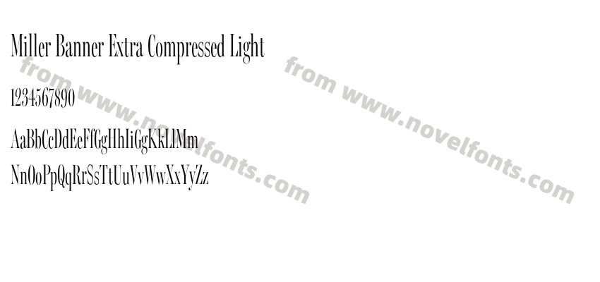 Miller Banner Extra Compressed LightPreview