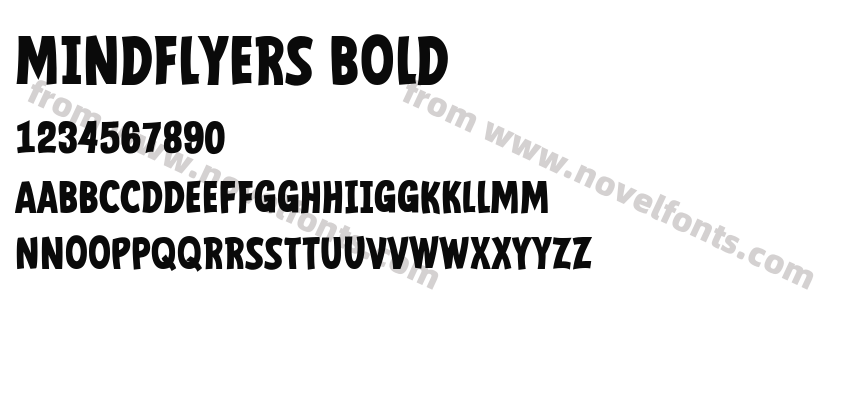 Mindflyers BoldPreview
