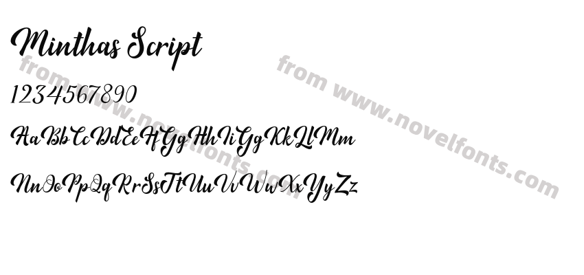 Minthas ScriptPreview