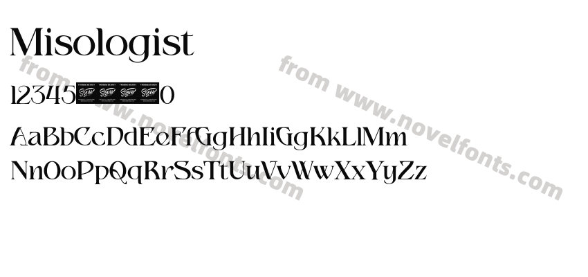 MisologistPreview