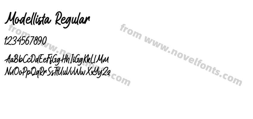 Modellista RegularPreview