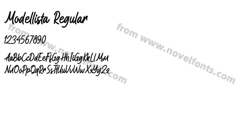 Modellista RegularPreview