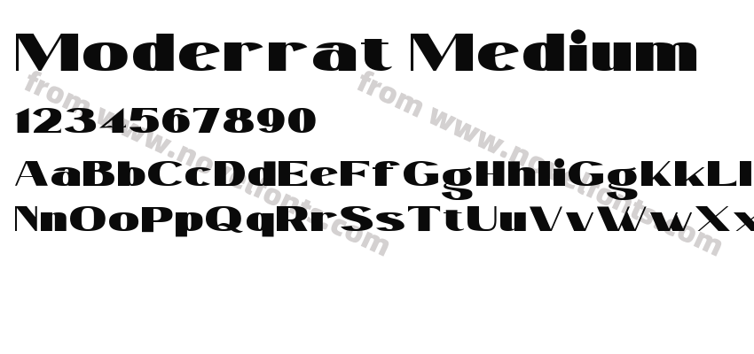 Moderrat MediumPreview