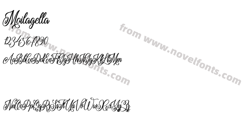 MoilagellaPreview