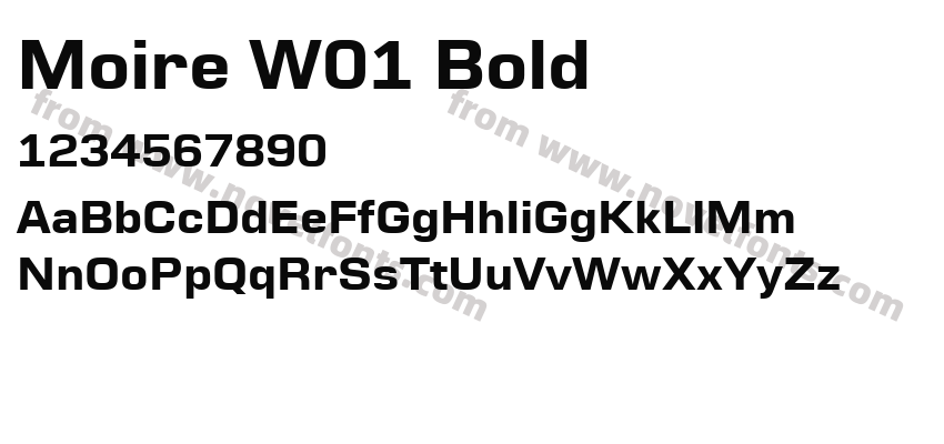 Moire W01 BoldPreview