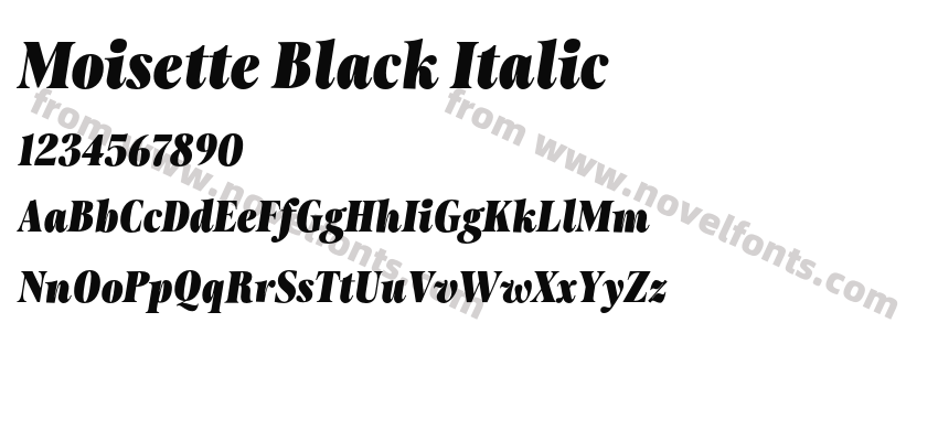 Moisette Black ItalicPreview