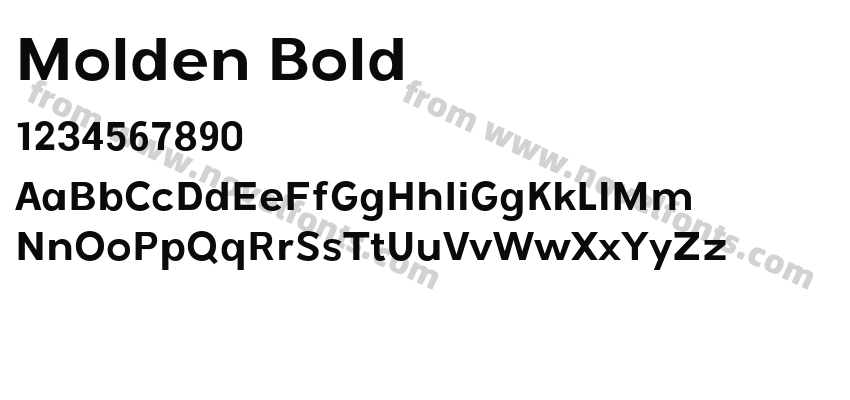 Molden BoldPreview
