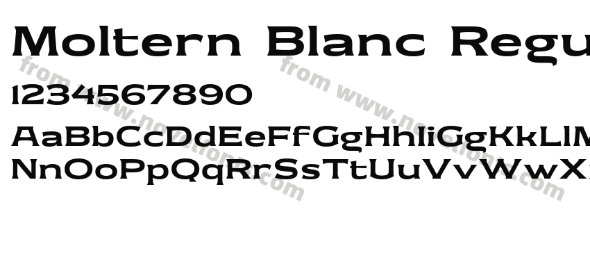 Moltern Blanc RegularPreview