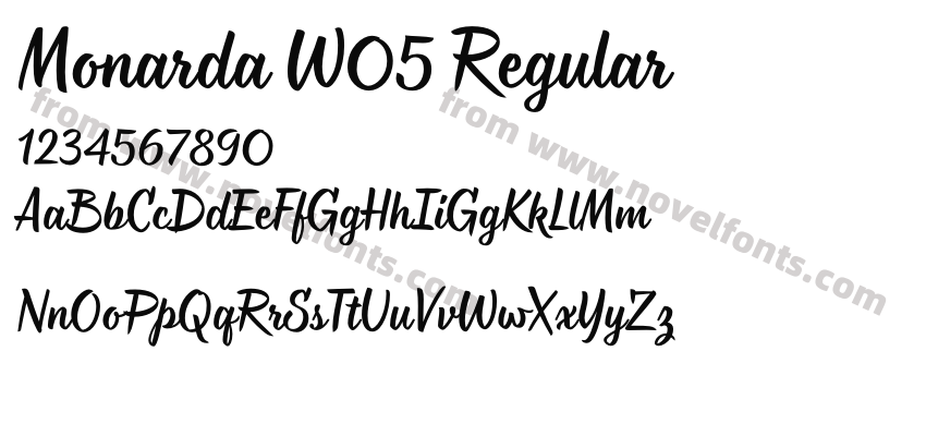 Monarda W05 RegularPreview