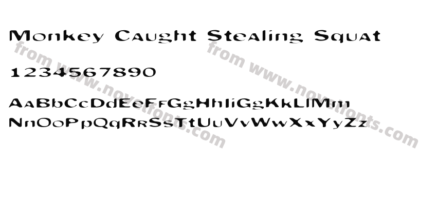 Monkey Caught Stealing SquatPreview