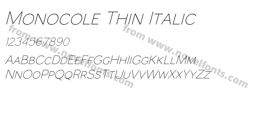 Monocole Thin ItalicPreview