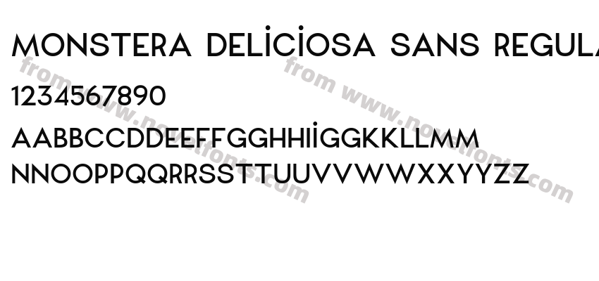 Monstera Deliciosa Sans RegularPreview