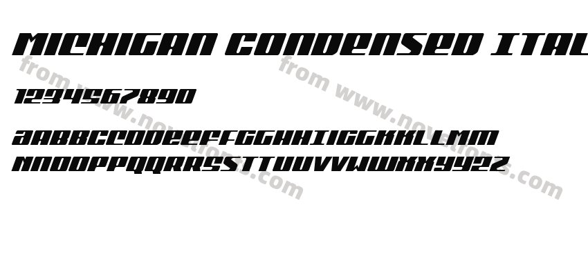 Michigan Condensed ItalicPreview