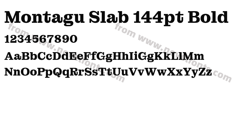Montagu Slab 144pt BoldPreview