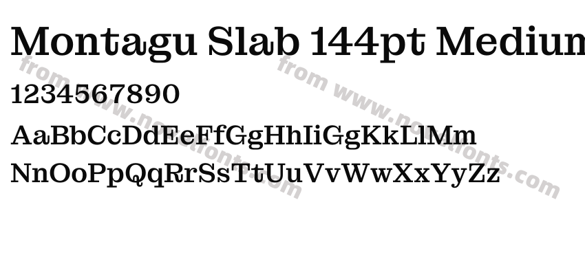 Montagu Slab 144pt MediumPreview