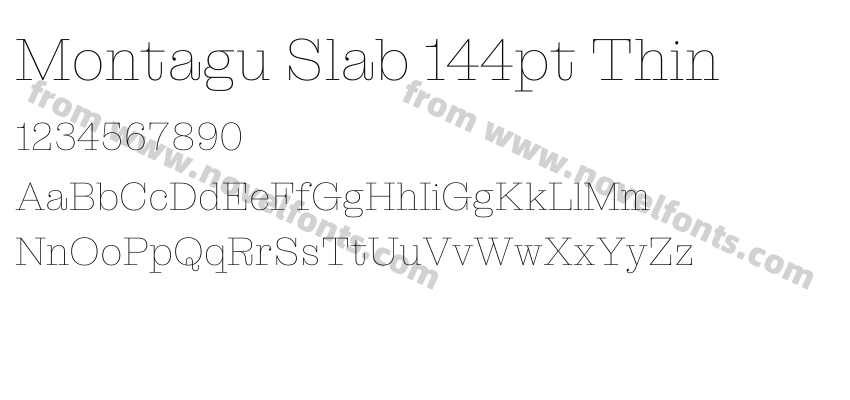 Montagu Slab 144pt ThinPreview