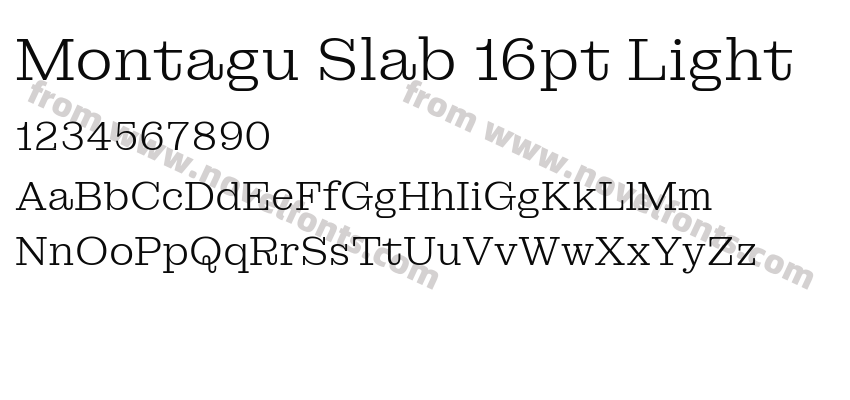 Montagu Slab 16pt LightPreview