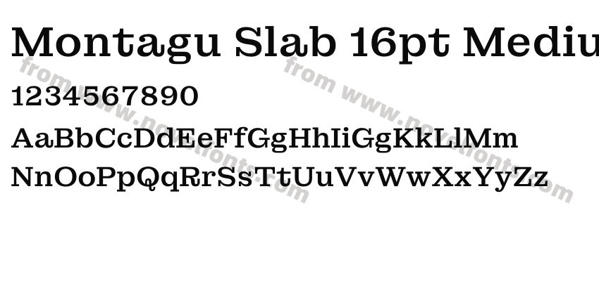 Montagu Slab 16pt MediumPreview