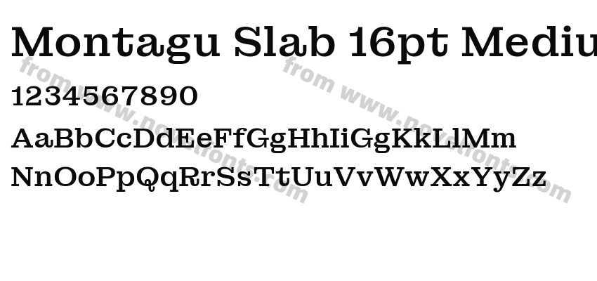 Montagu Slab 16pt MediumPreview