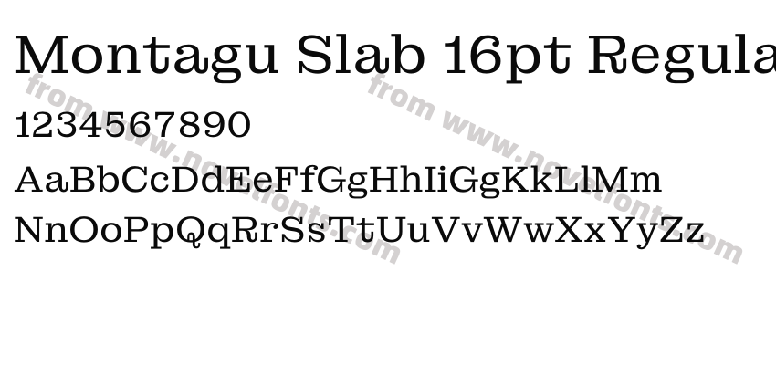 Montagu Slab 16pt RegularPreview