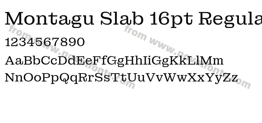 Montagu Slab 16pt RegularPreview