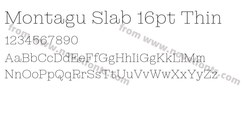 Montagu Slab 16pt ThinPreview
