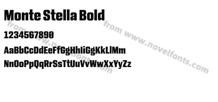 Monte Stella BoldPreview