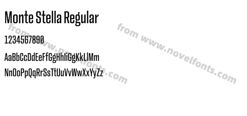 Monte Stella RegularPreview