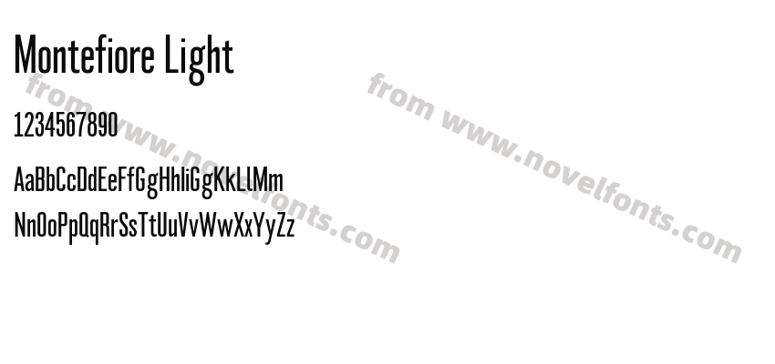 Montefiore LightPreview