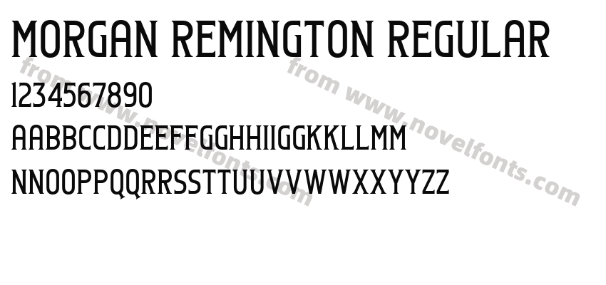Morgan Remington RegularPreview