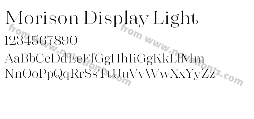 Morison Display LightPreview
