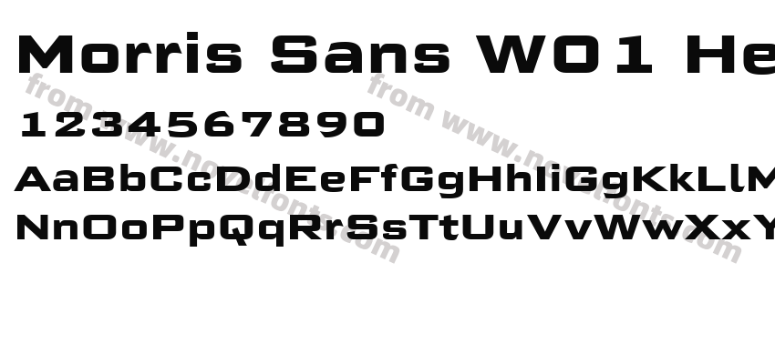 Morris Sans W01 HeavyPreview