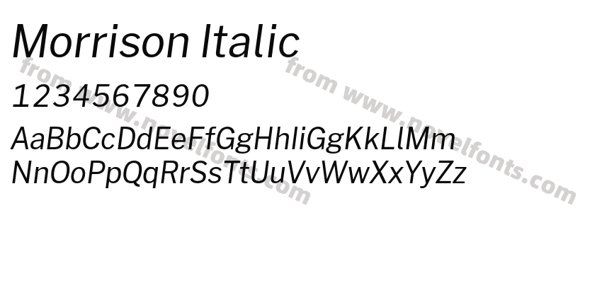 Morrison ItalicPreview