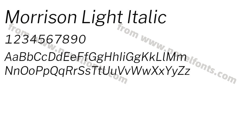 Morrison Light ItalicPreview