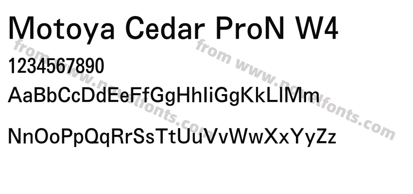 Motoya Cedar ProN W4Preview