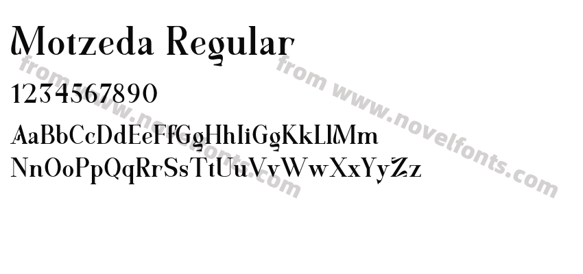Motzeda RegularPreview