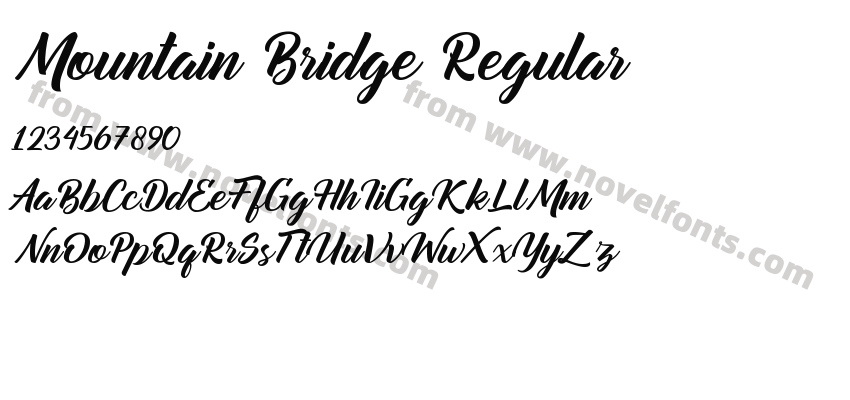 Mountain Bridge RegularPreview