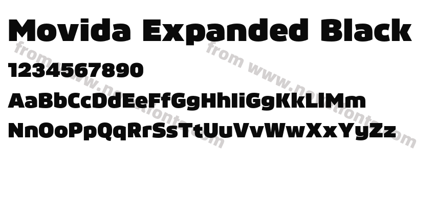 Movida Expanded BlackPreview