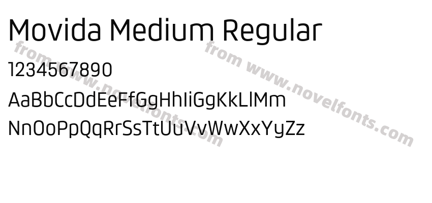 Movida Medium RegularPreview