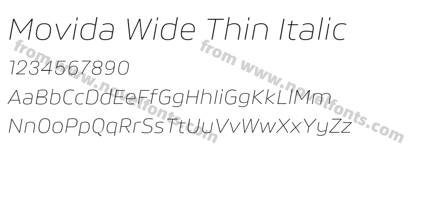 Movida Wide Thin ItalicPreview