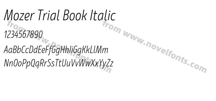 Mozer Trial Book ItalicPreview