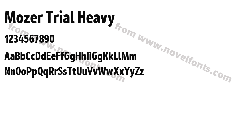 Mozer Trial HeavyPreview
