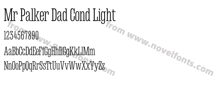 Mr Palker Dad Cond LightPreview