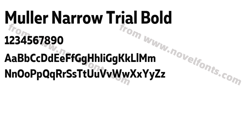 Muller Narrow Trial BoldPreview
