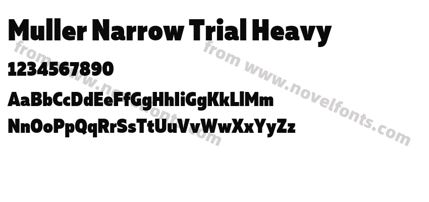 Muller Narrow Trial HeavyPreview